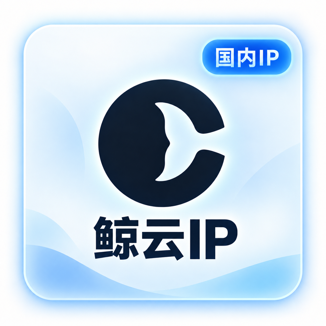 鲸云IP